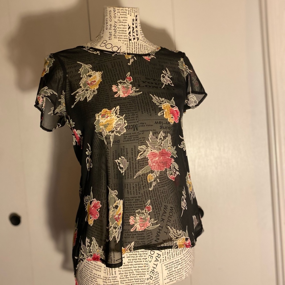 Sheer rose top